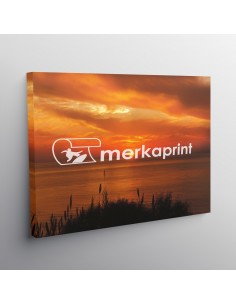 IMPRESIÓN EN LIENZO CANVAS...